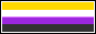 Nonbinary flag